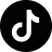 TikTok Icon